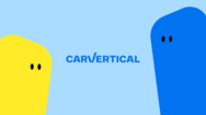 20 % на отчеты carVertical