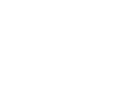 AVIS (АВИС)