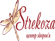Strekoza