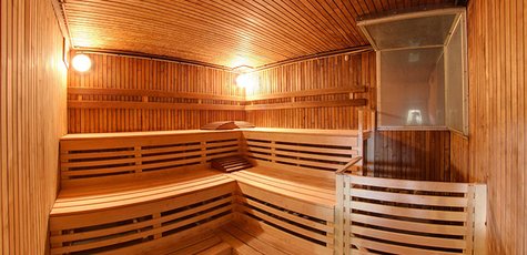Levob_sauna_large1