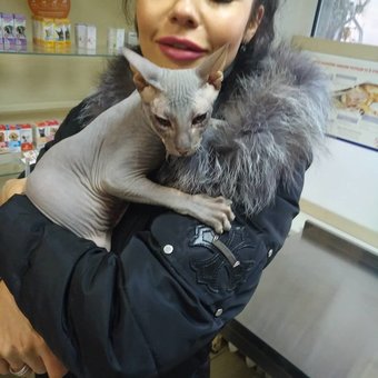 Twisted eyelids - another pet saved!